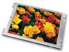 TOSHIBA LTA084C272F