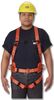 HONEYWELL 938138.AVF
