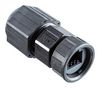 AMPHENOL LTW RDP-00BMMS-TLM7001.