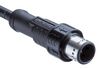 AMPHENOL LTW M12A-17BMMM-PR8D01