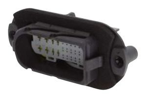 APTIV / DELPHI - 10811880 - Automotive Connector Housing, Black, SICMA 1.5/2.8 Series, Plug, 29 Ways