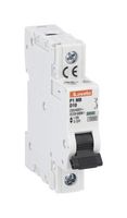 LOVATO P1MB1PD25 Thermal Magnetic Circuit Breaker, D Trip Curve, IP20/10 kA, P1MB Series, 25 A, 1 Pole, 80 V, 230 V