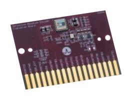 AR55-EVBR