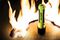 UNILITE INTERNATIONAL ATEX-FL4